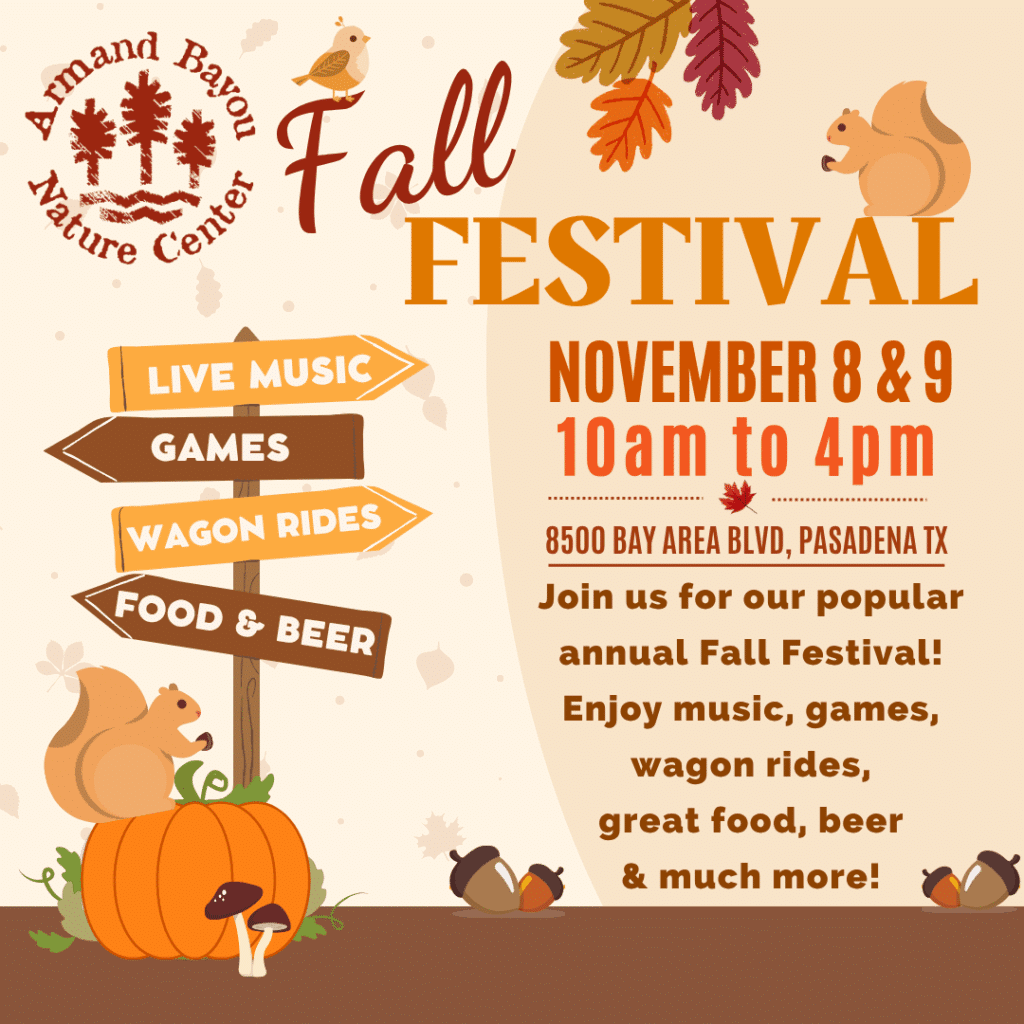 Promotional flyer for the ABNC Annual Fall Festival, part of Halloween events in Houston 2025.